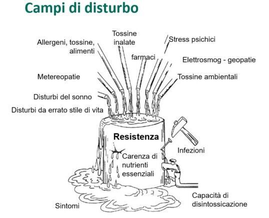 Schema dei campi di disturbo: allergeni, tossine, farmaci, stress psichici, elettrosmog, disturbi del sonno e infezioni che riempiono il barile della resistenza fino ai sintomi